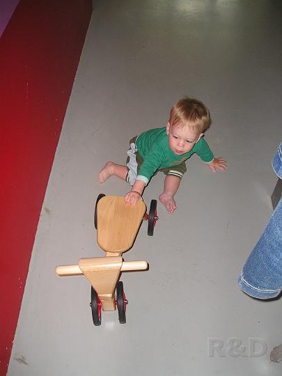 Imme 12 juli 2007 (14).JPG